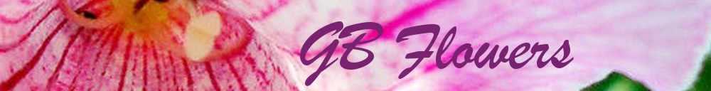 shop logo for GB Flowers. GB Flowers